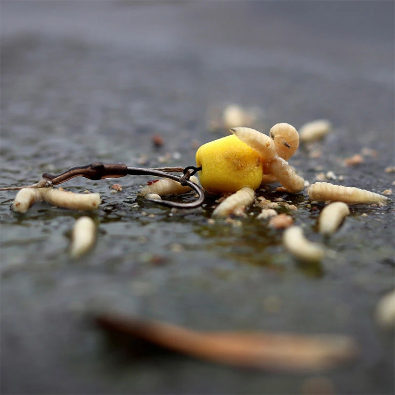 Enterprise Sinking Corn Yellow